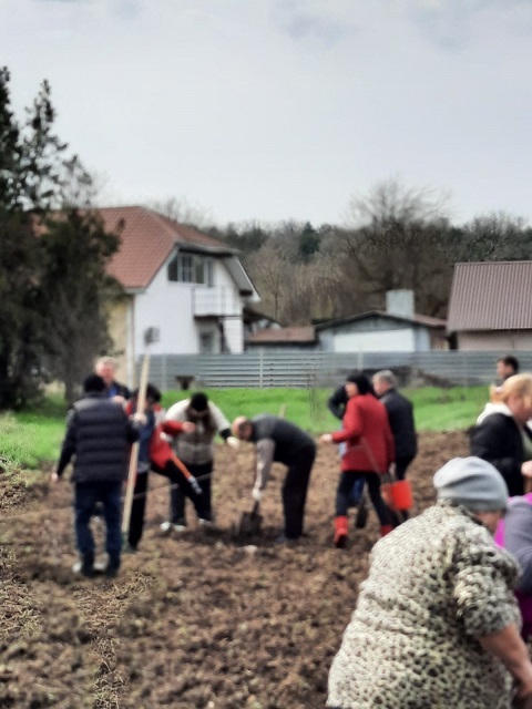 den drevonasajdeniya 10